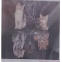 Diamond Painting II für DIY Kunstwerke