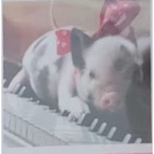 Diamond Painting II für DIY Kunstwerke